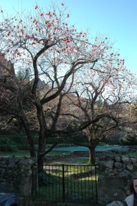 Boules de Noël dans le kaki